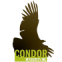 Logo Condor Resources Inc.