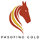 Logo Pasofino Gold Limited